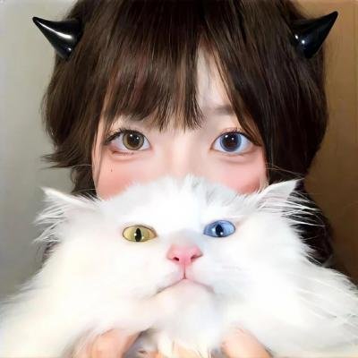 孖宝妙探